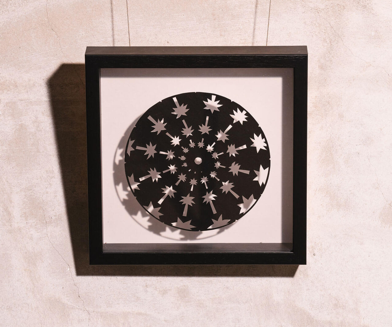 フェナキストスコープ　ヤシの木