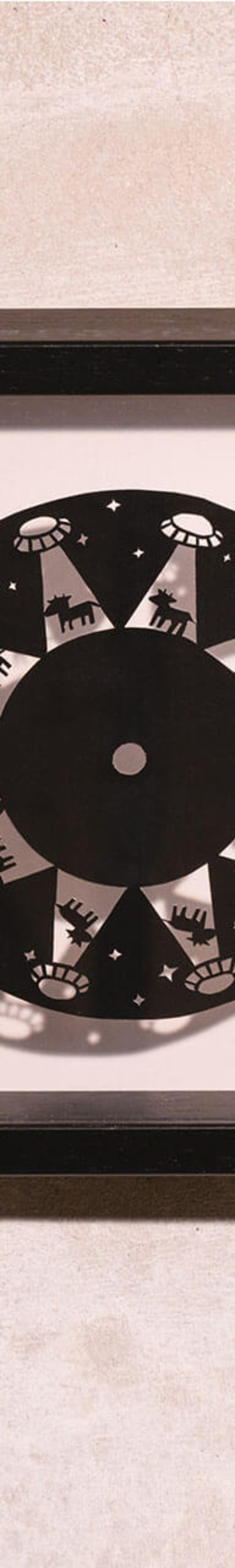 フェナキストスコープ　abduction